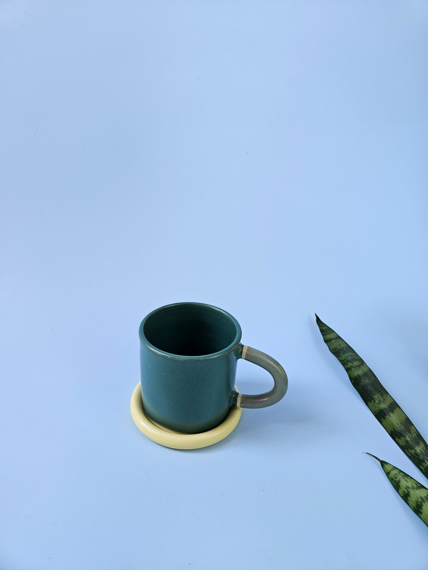 Classic Mug (Two-Toned)