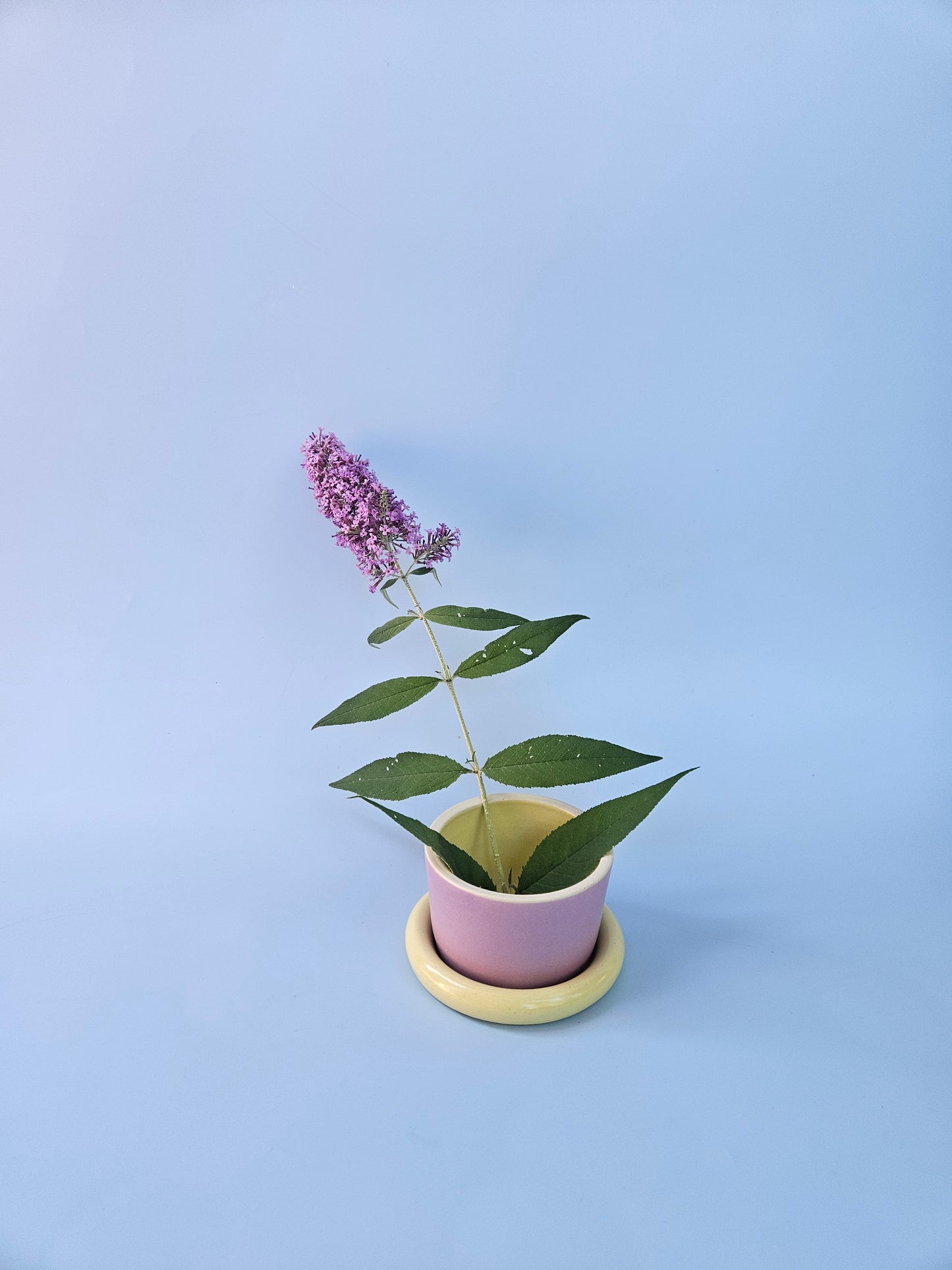Planter with Chunky Tray (Two-Toned)