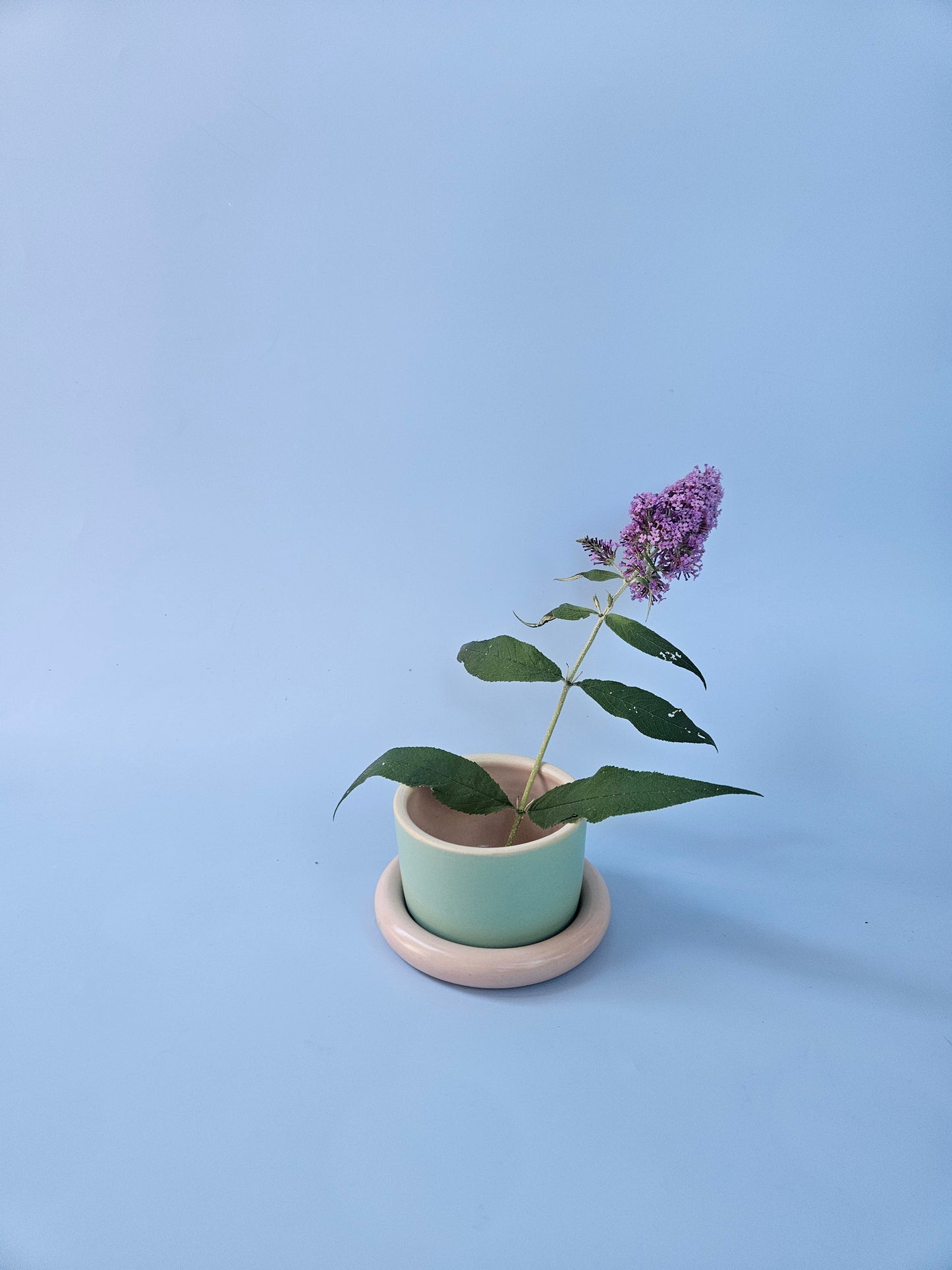 Planter with Chunky Tray (Two-Toned)