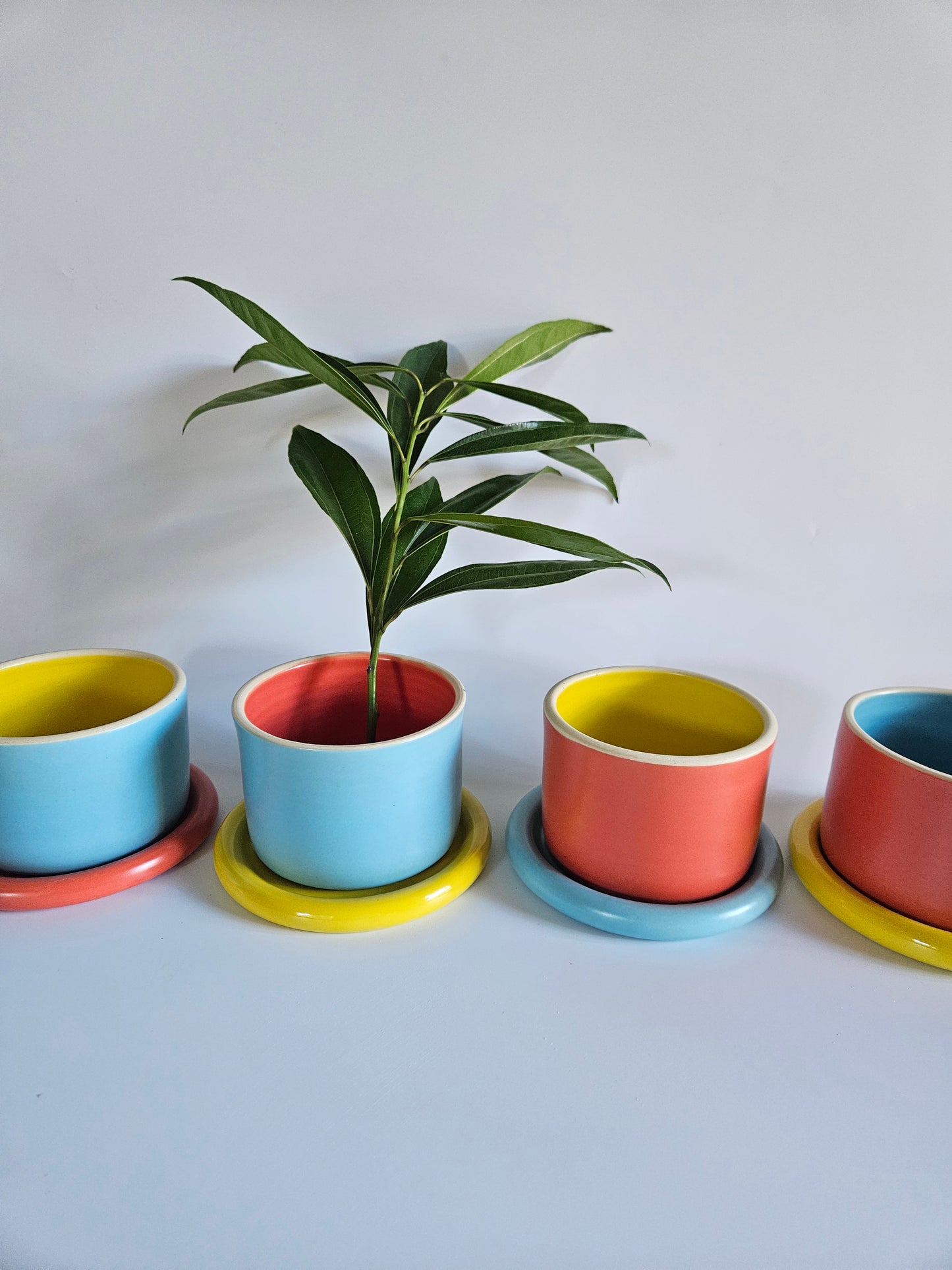 Planter with Chunky Tray, Three-Toned (Made to Order)