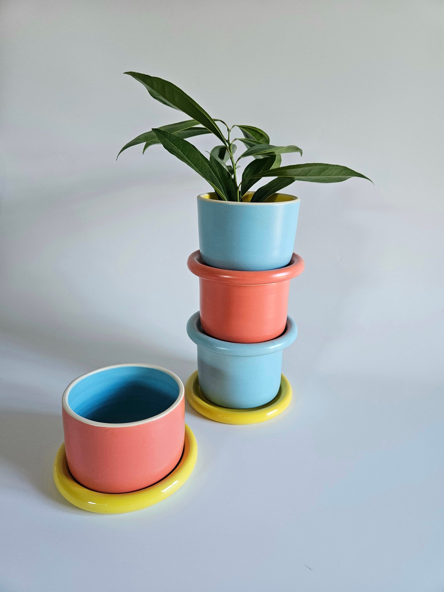 Planter with Chunky Tray, Three-Toned (Made to Order)