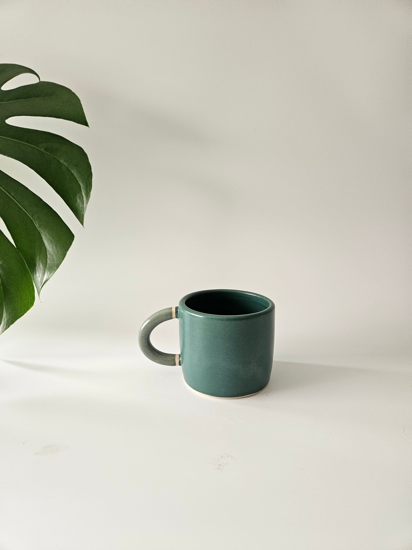 Classic Mug (Two-Toned)