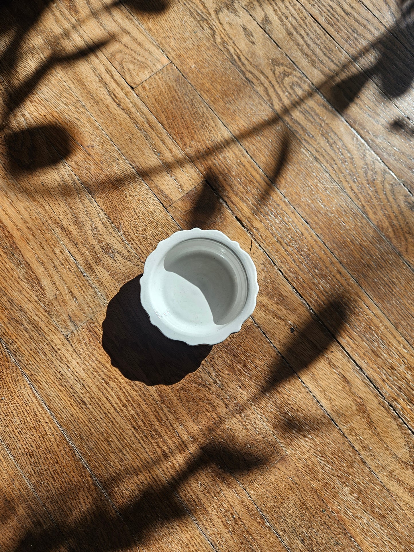 Scalloped Yogurt Bowl (White)