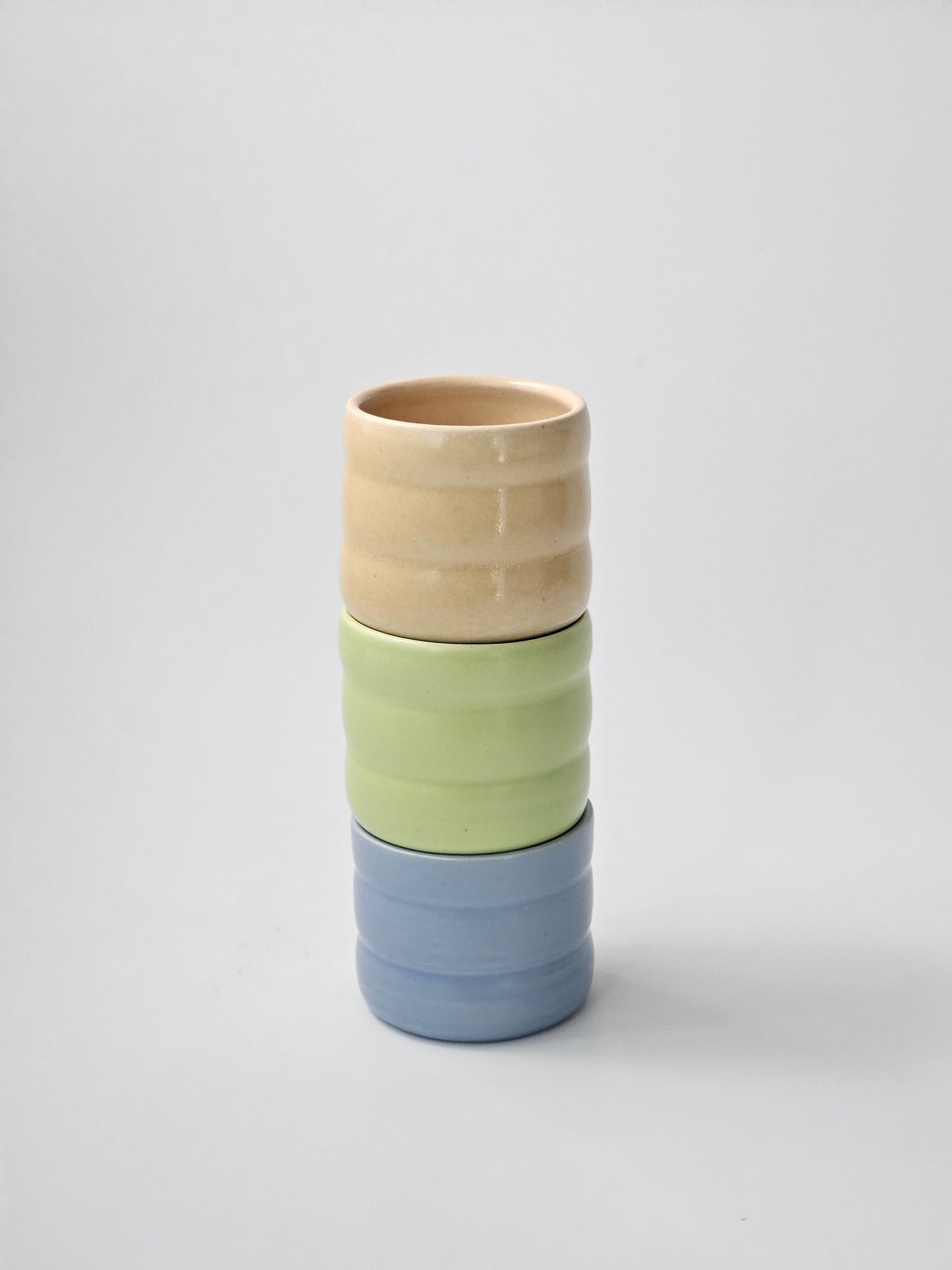 Wiggly Tumbler - Case of 2