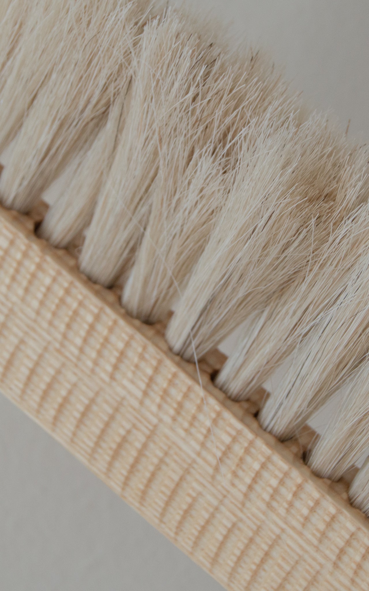 Bench Brush