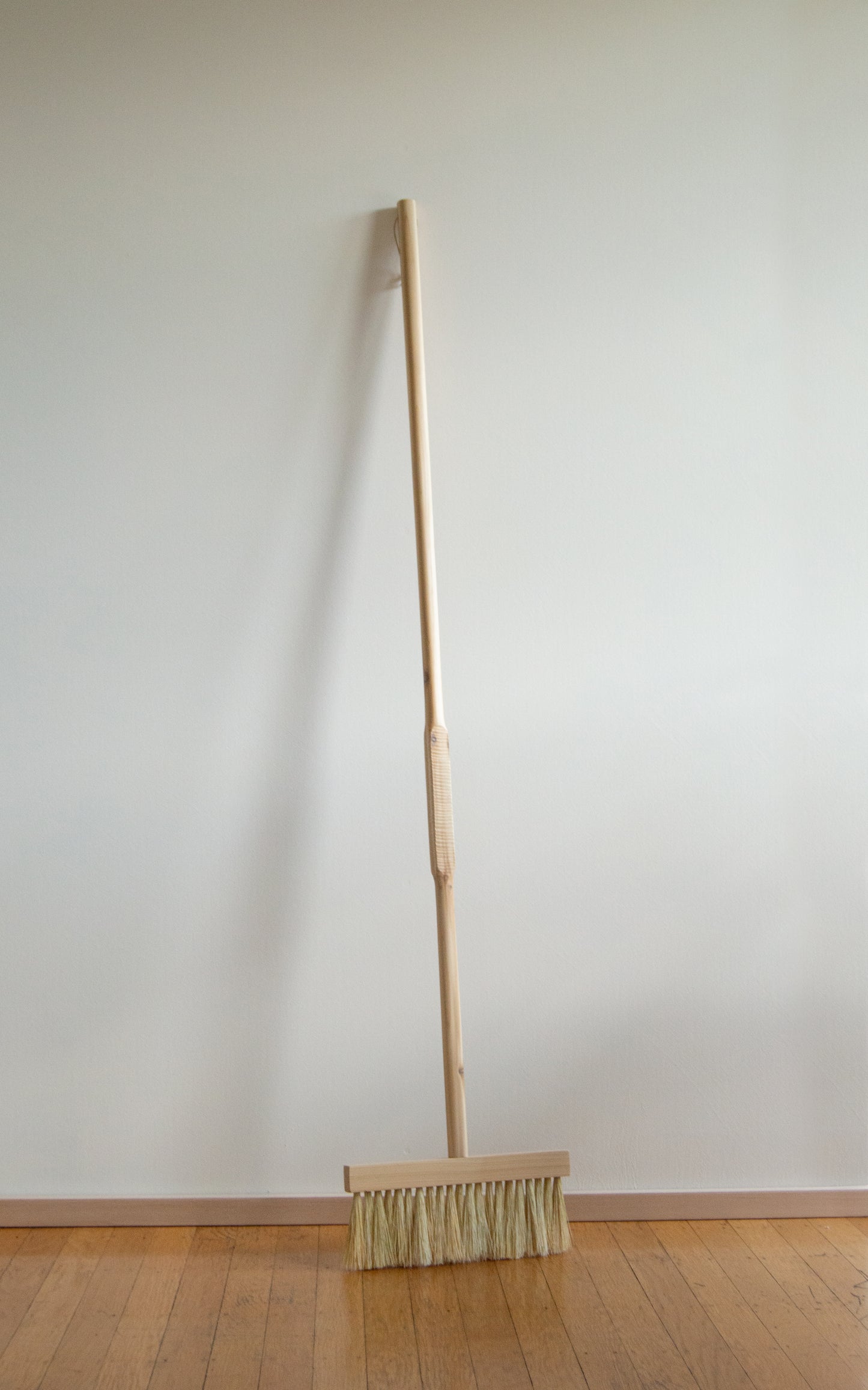 Floor Broom