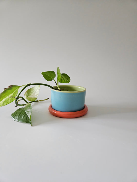 Planter with Chunky Tray (Three-Toned) - Case of 2