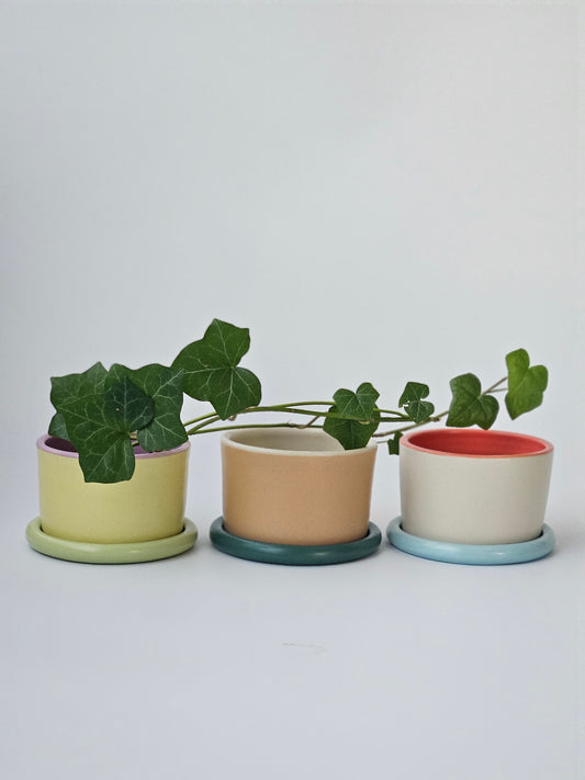 Planter with Classic Tray (Three-Toned) - Case of 2