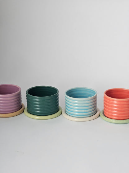 Bumpy Planter with Tray (Two-Toned) - Case of 2