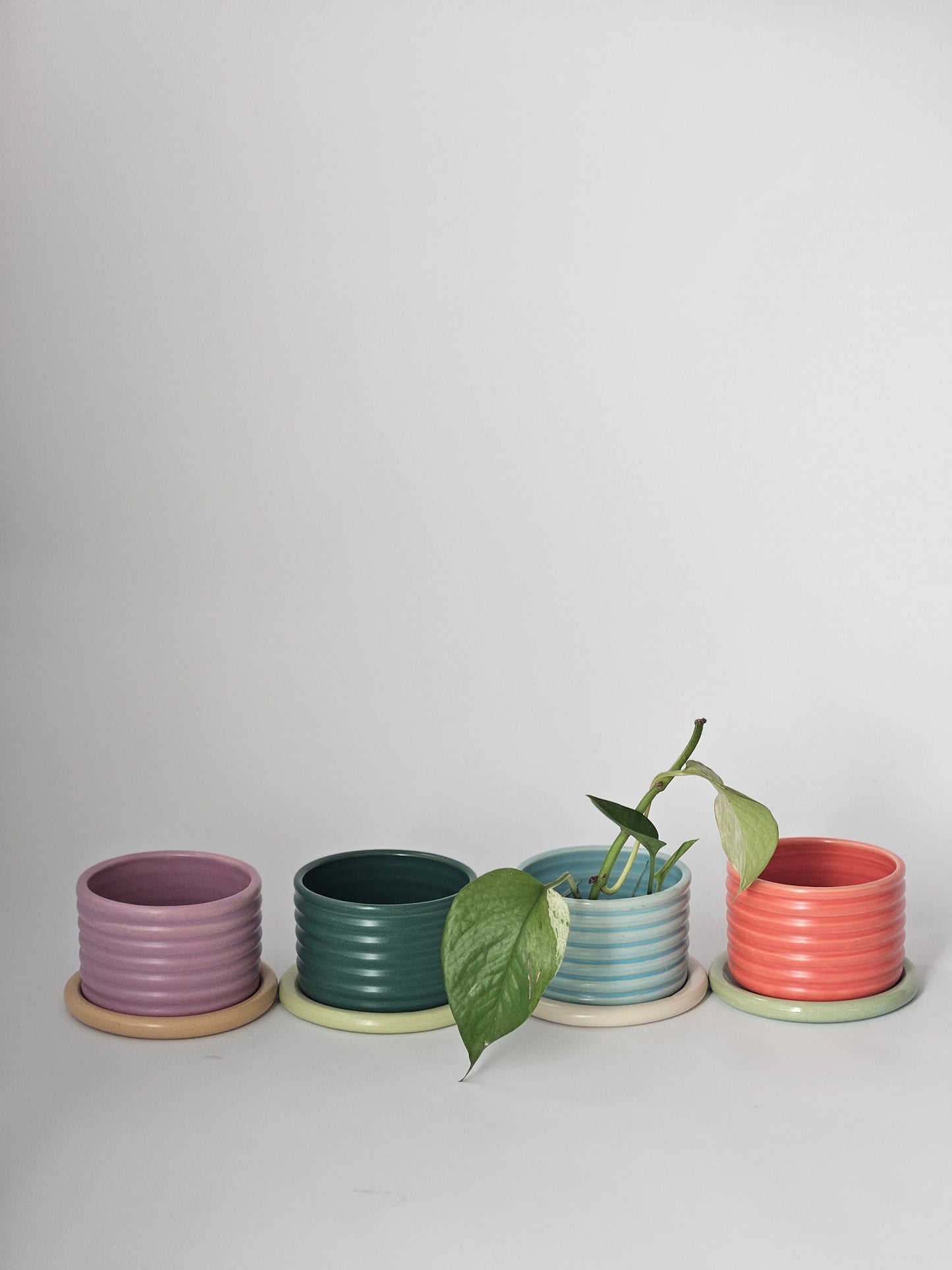 Bumpy Planter with Tray (Two-Toned) - Case of 2