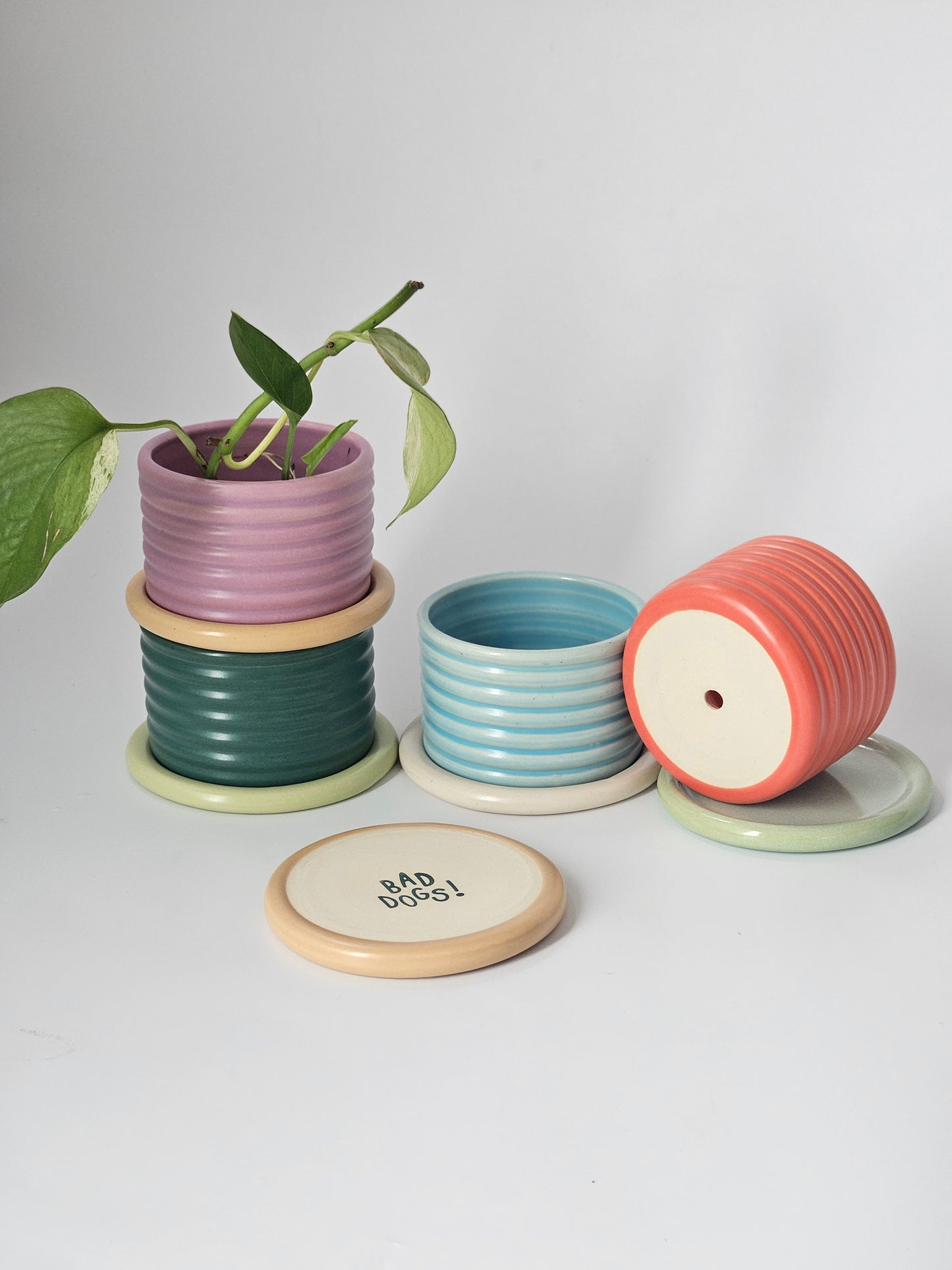 Bumpy Planter with Tray (Two-Toned) - Case of 2