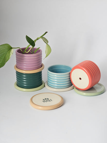 Bumpy Planter with Tray (Two-Toned) - Case of 2