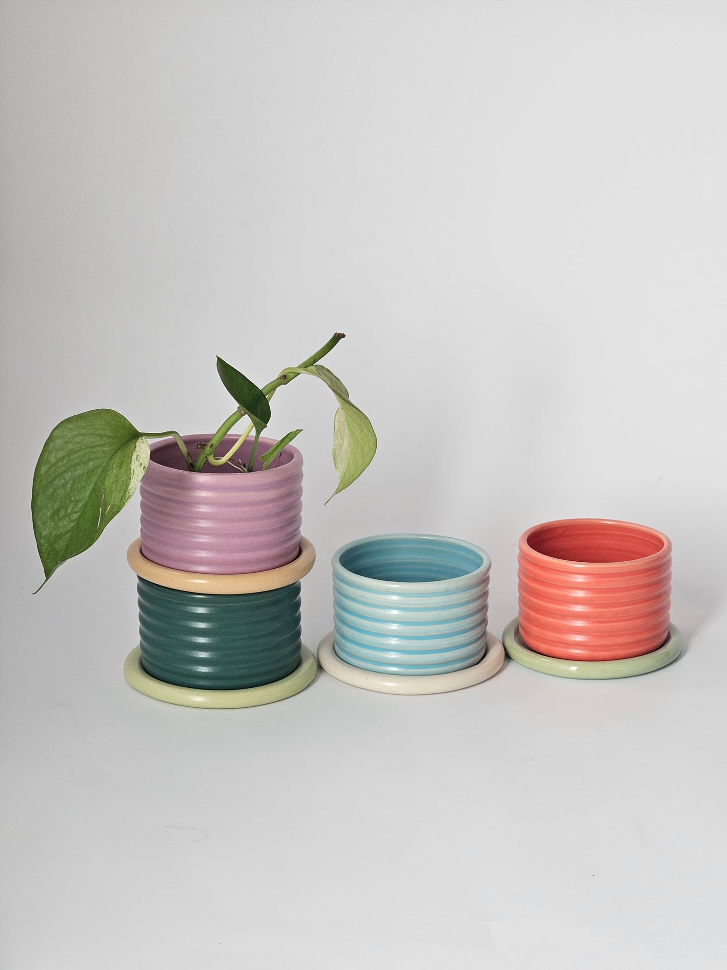 Bumpy Planter with Tray (Two-Toned) - Case of 2