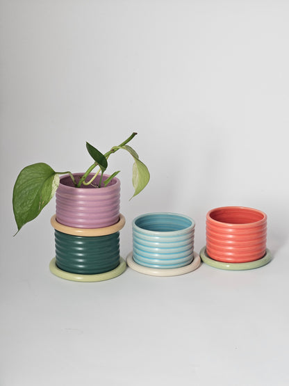 Bumpy Planter with Tray (Two-Toned) - Case of 2