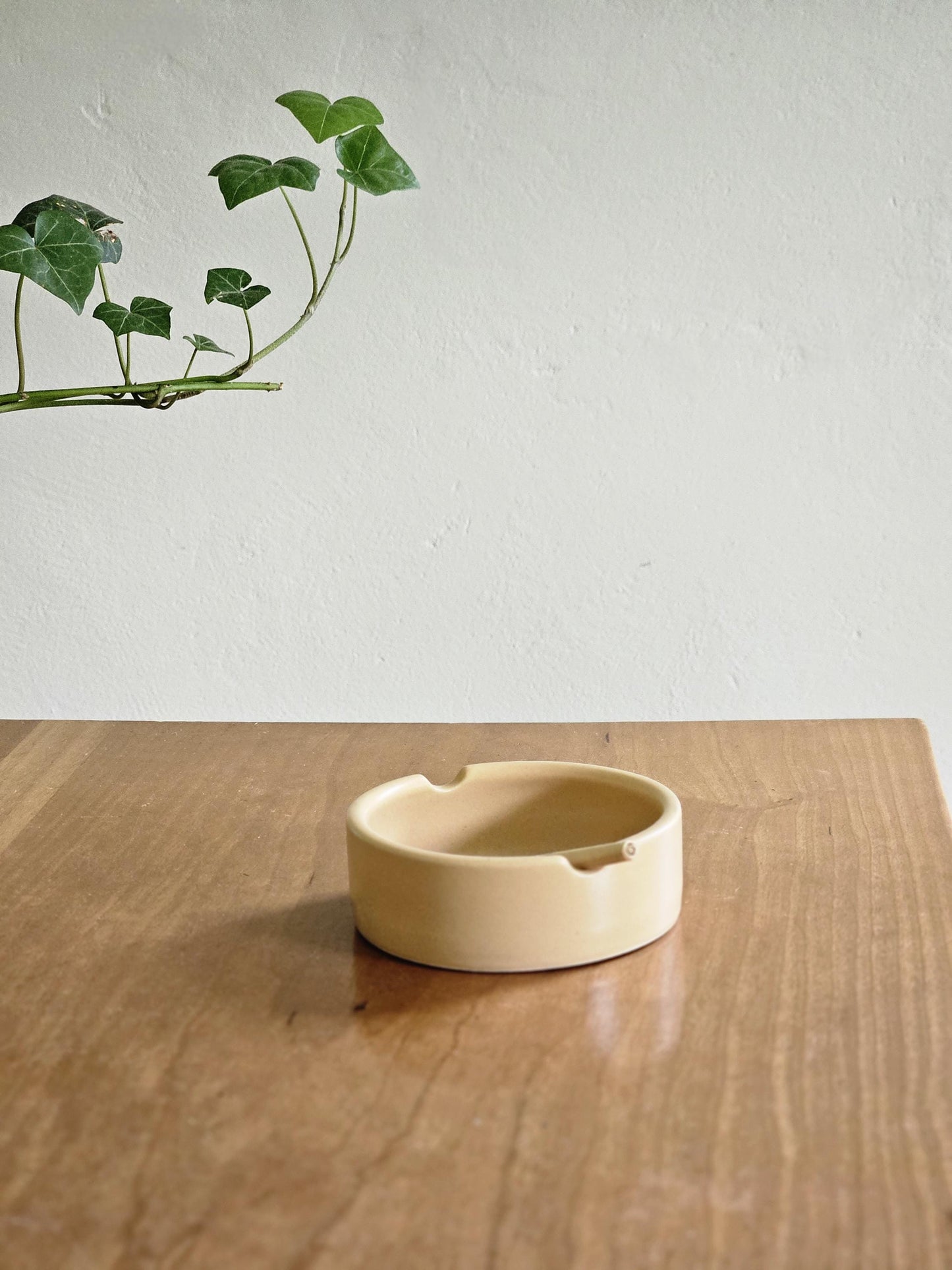 Handmade Colorful Ceramic Ashtray: Retro Pottery, Portland, OR