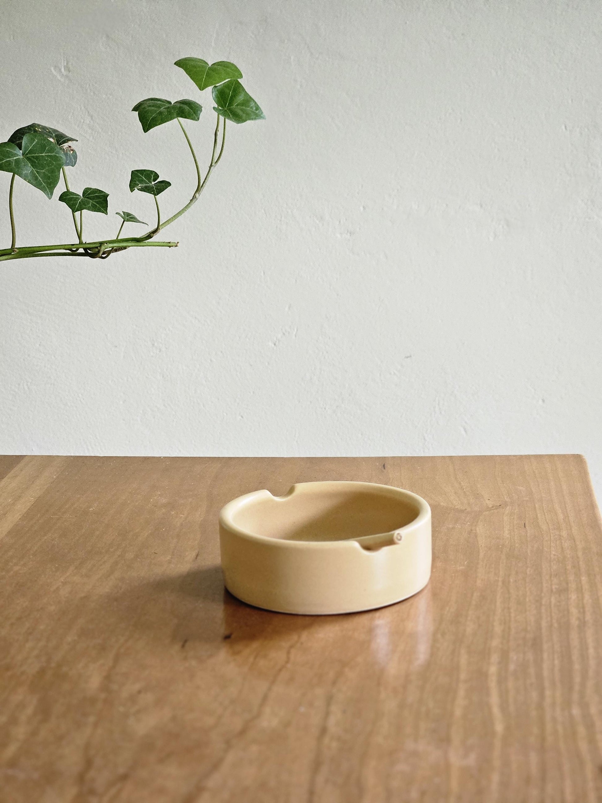 Handmade Colorful Ceramic Ashtray: Retro Pottery, Portland, OR