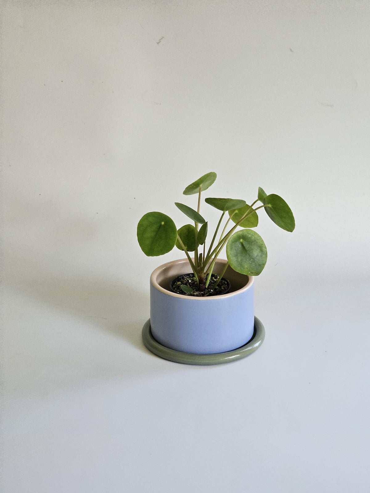 Handmade Color Block Pottery Planter with Tray • Three-Toned Ceramic Drainage Pot
