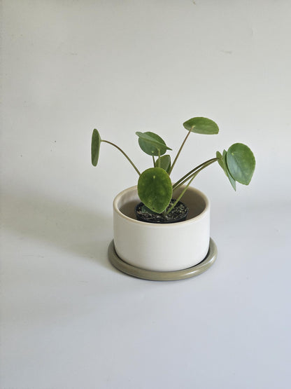 Handmade Color Block Pottery Planter with Tray • Three-Toned Ceramic Drainage Pot