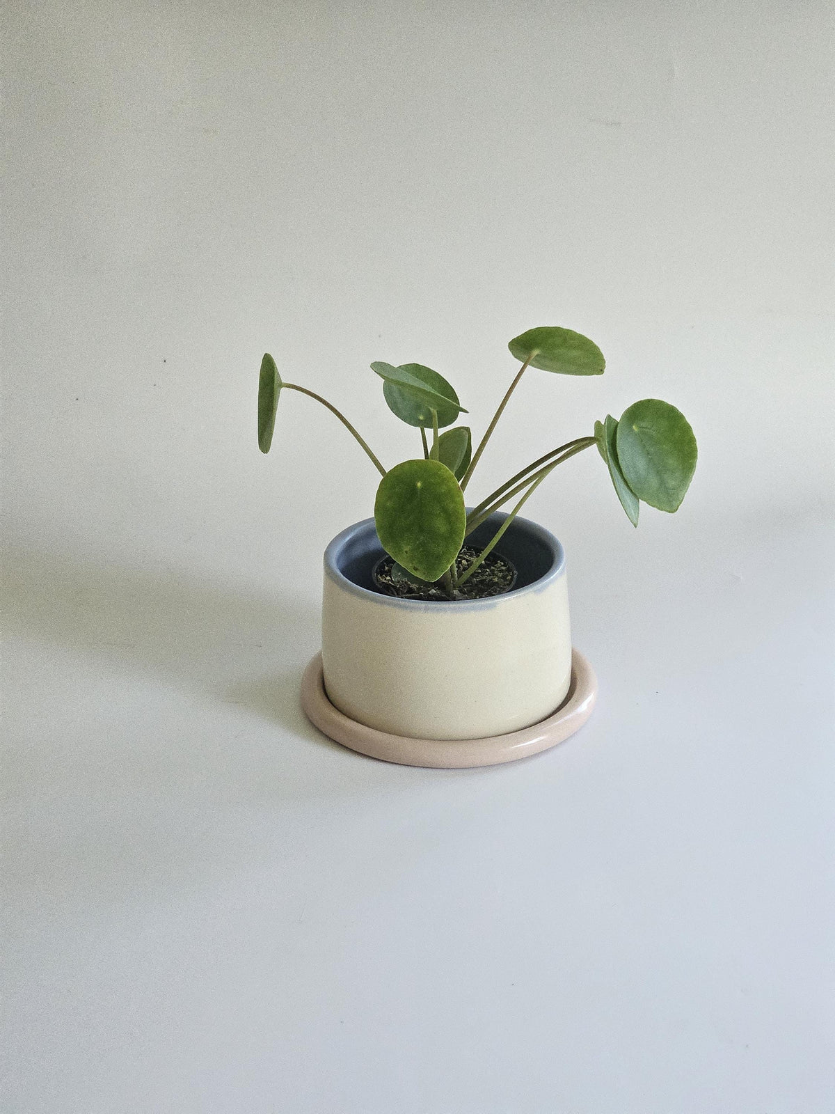Handmade Color Block Pottery Planter with Tray • Three-Toned Ceramic Drainage Pot