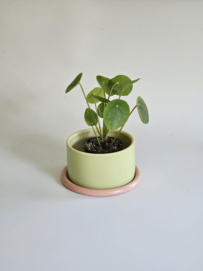 Handmade Color Block Pottery Planter with Tray • Three-Toned Ceramic Drainage Pot