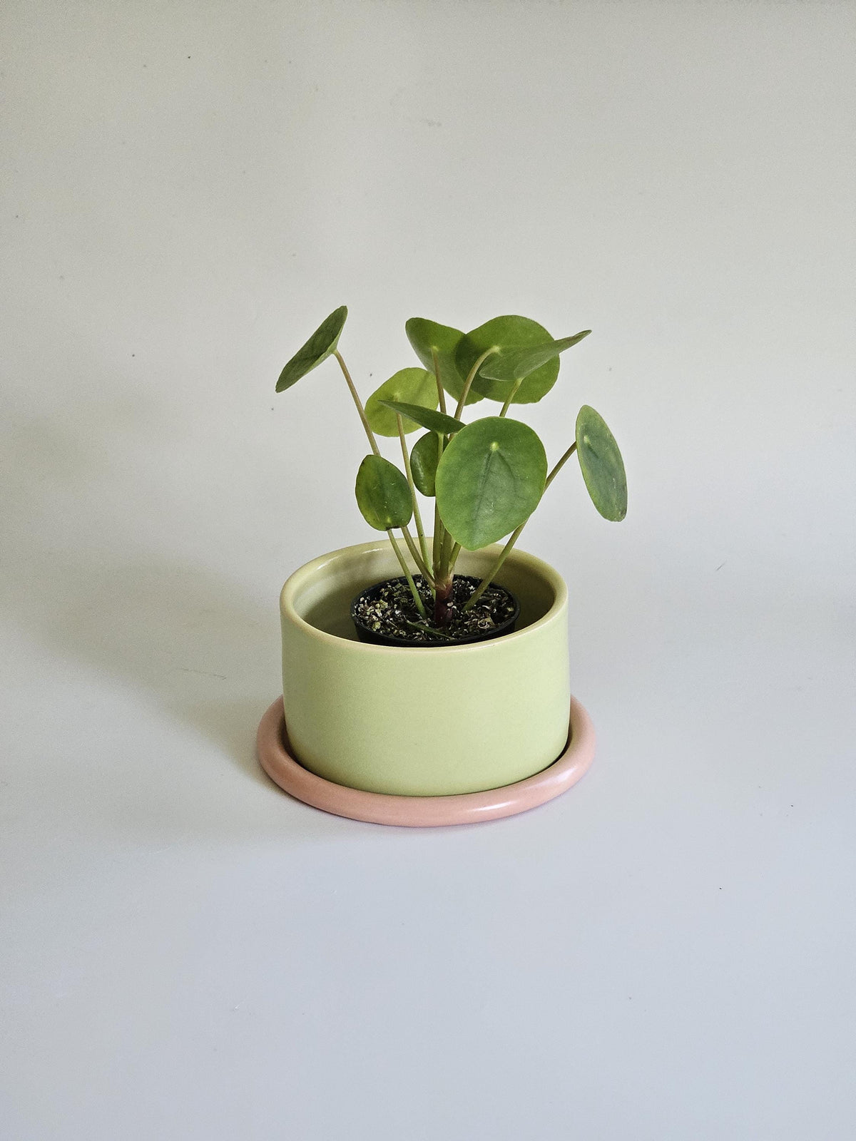 Handmade Color Block Pottery Planter with Tray • Three-Toned Ceramic Drainage Pot