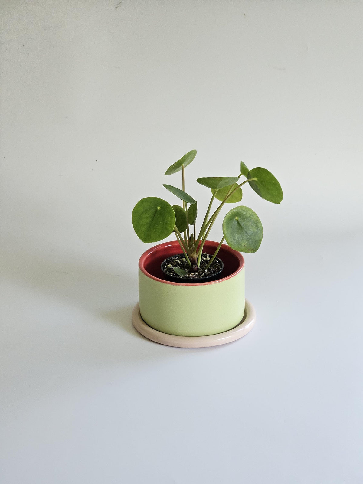 Handmade Color Block Pottery Planter with Tray • Three-Toned Ceramic Drainage Pot