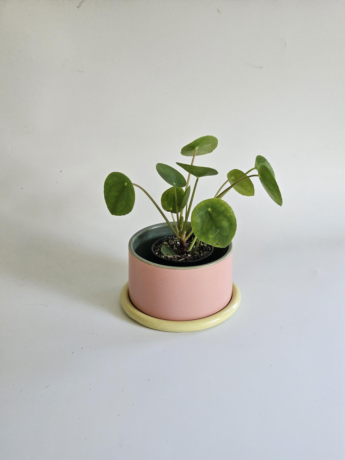 Handmade Color Block Pottery Planter with Tray • Three-Toned Ceramic Drainage Pot