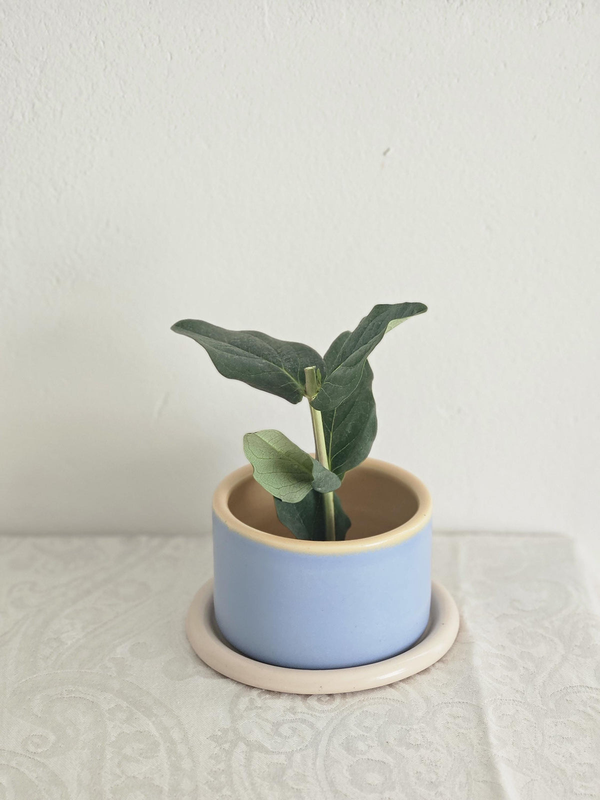 Handmade Color Block Pottery Planter with Tray • Three-Toned Ceramic Drainage Pot