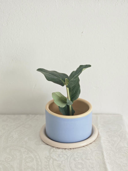 Handmade Color Block Pottery Planter with Tray • Three-Toned Ceramic Drainage Pot