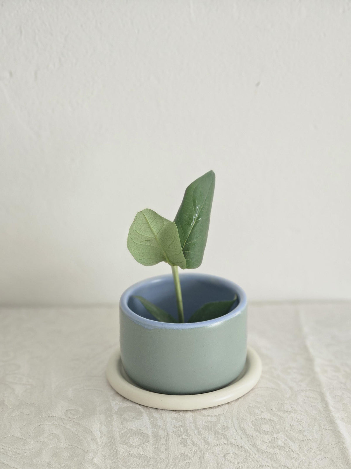 Handmade Color Block Pottery Planter with Tray • Three-Toned Ceramic Drainage Pot