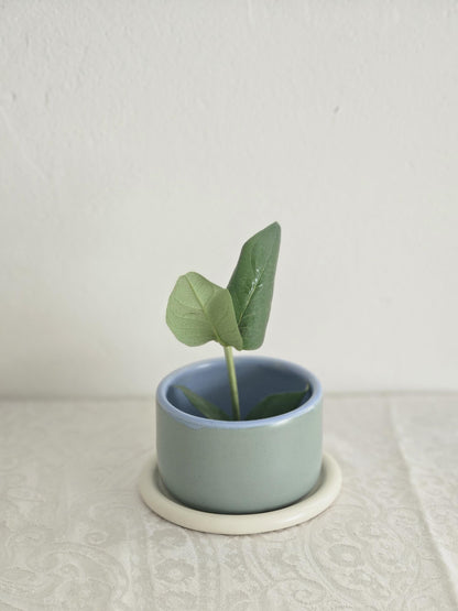 Handmade Color Block Pottery Planter with Tray • Three-Toned Ceramic Drainage Pot