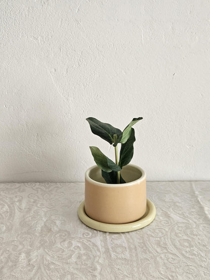 Handmade Color Block Pottery Planter with Tray • Three-Toned Ceramic Drainage Pot