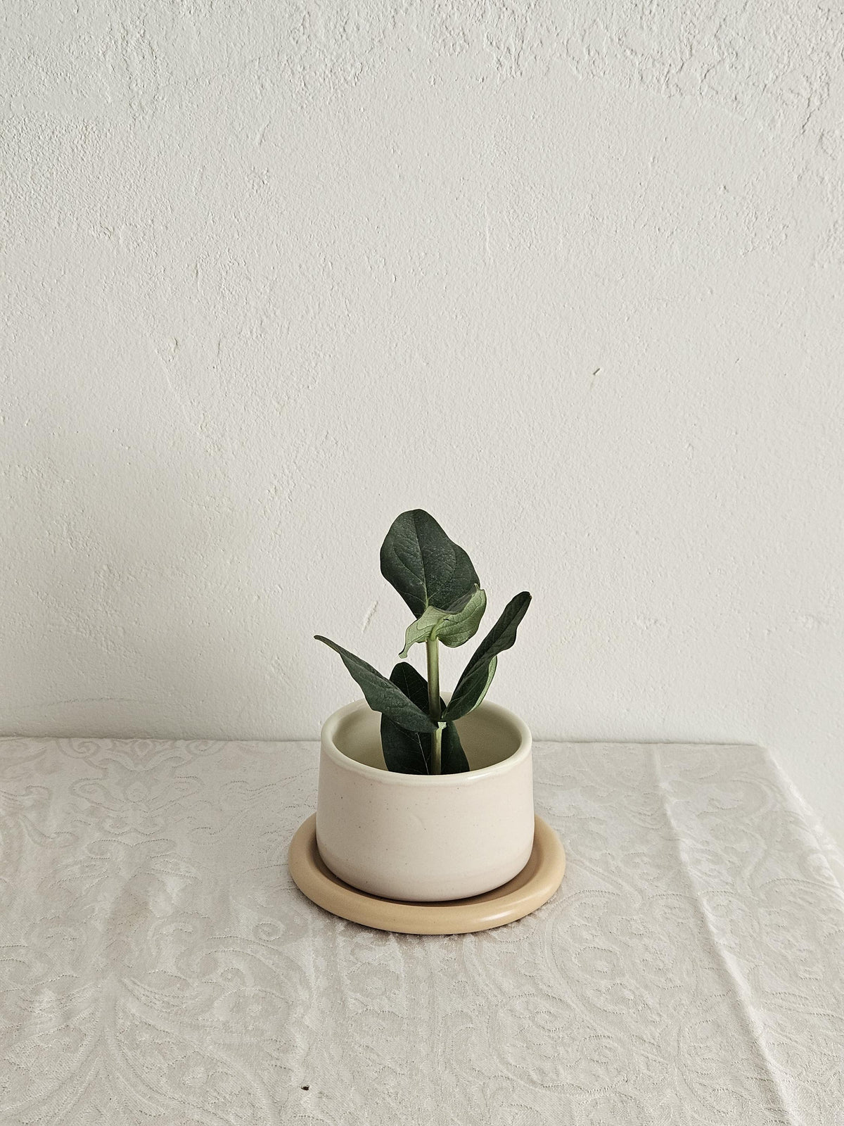 Handmade Color Block Pottery Planter with Tray • Three-Toned Ceramic Drainage Pot