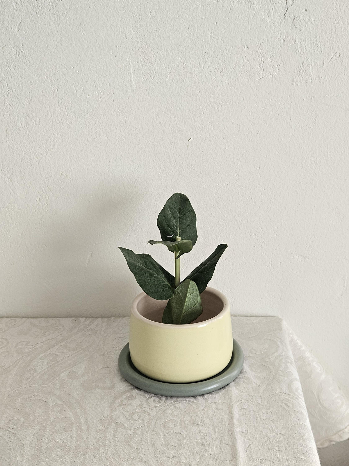 Handmade Color Block Pottery Planter with Tray • Three-Toned Ceramic Drainage Pot