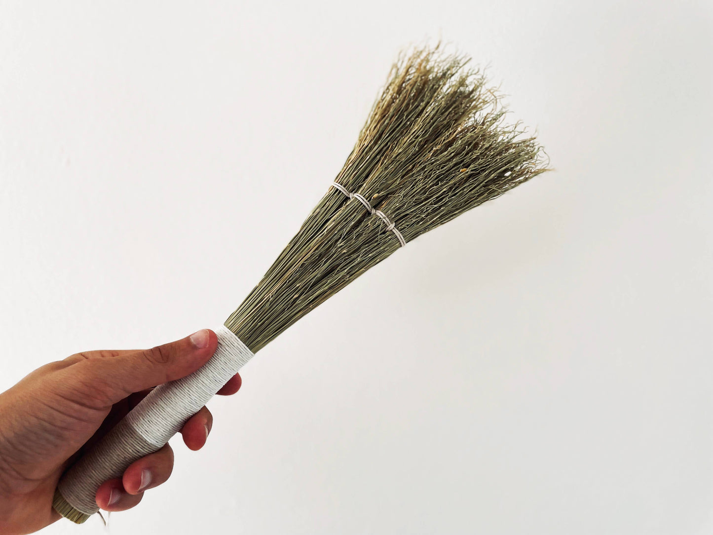 Simple Hand Broom